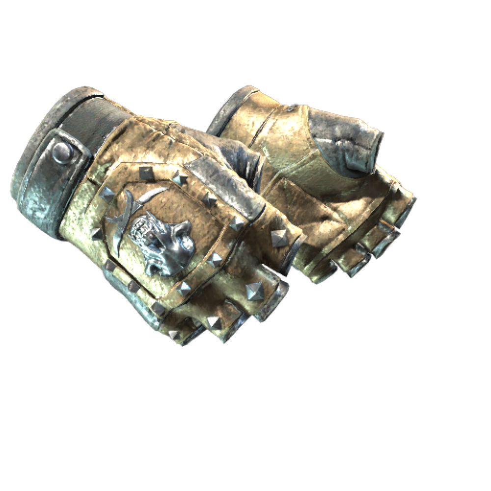 ★ Bloodhound Gloves | Bronzed (Well-Worn)