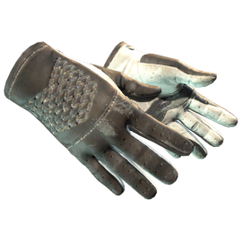 ★ Driver Gloves | Black Tie (Field-Tested)