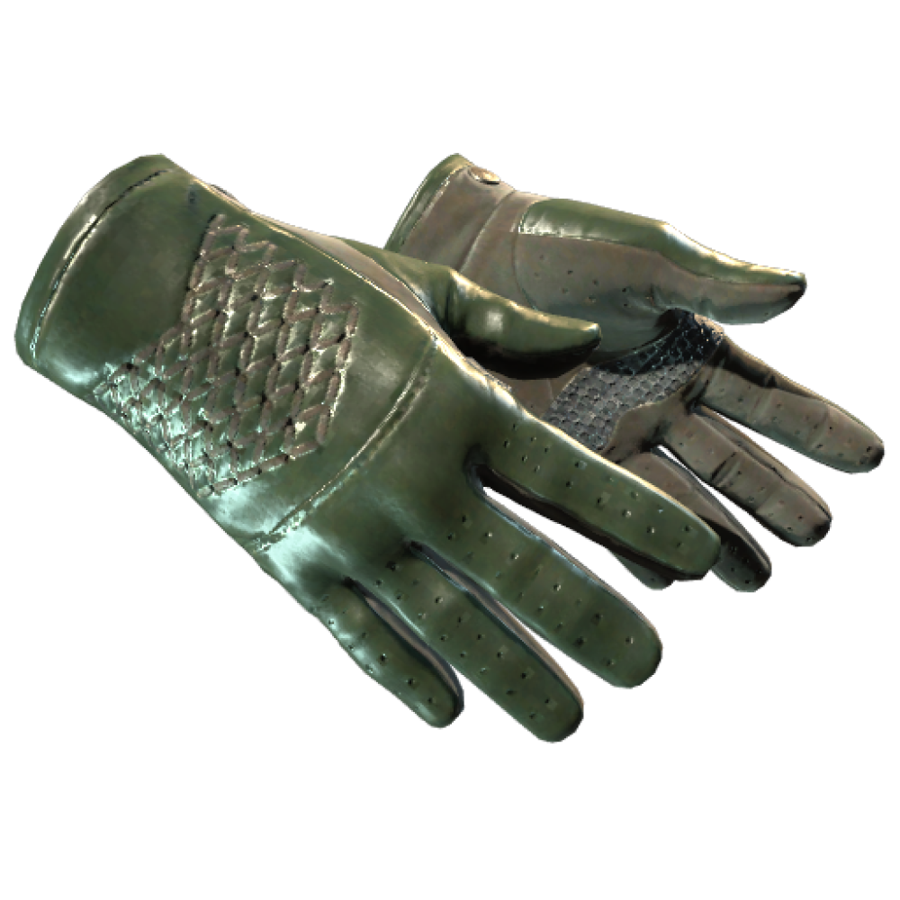 ★ Driver Gloves | Racing Green (Minimal Wear)