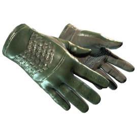 ★ Driver Gloves | Racing Green (Minimal Wear)