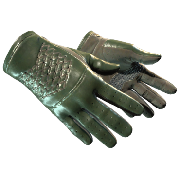★ Driver Gloves | Racing Green (Minimal Wear)