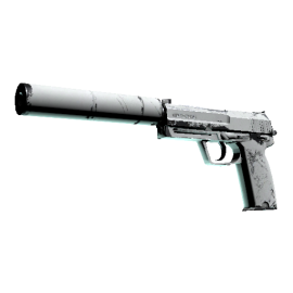 USP-S | Whiteout (Well-Worn)