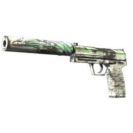 Souvenir USP-S | Road Rash (Field-Tested)
