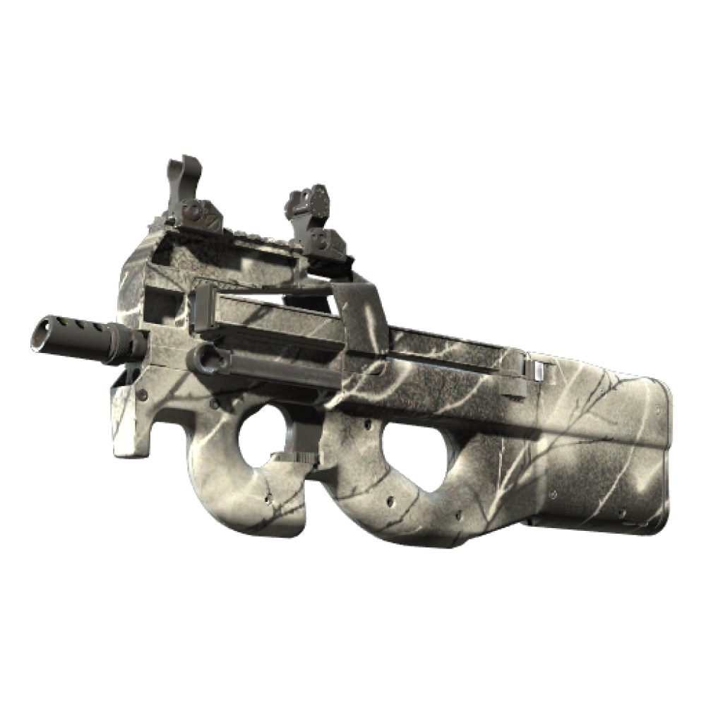 P90 | Ash Wood (Minimal Wear)