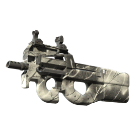 P90 | Ash Wood (Minimal Wear)
