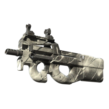 P90 | Ash Wood (Minimal Wear)