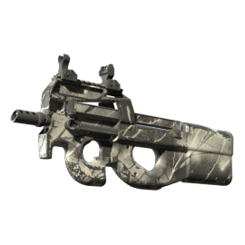 P90 | Ash Wood (Field-Tested)