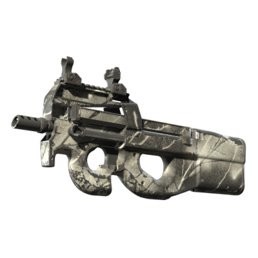 P90 | Ash Wood (Field-Tested)