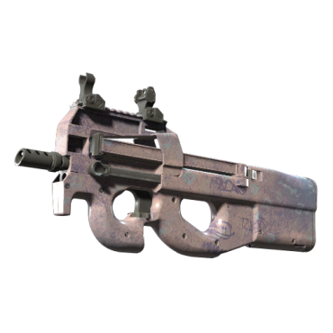 P90 | Wash me (Factory New)