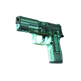 P250 | X-Ray (Minimal Wear)