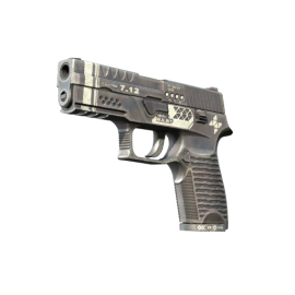 StatTrak™ P250 | Re.built (Minimal Wear)