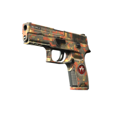 P250 | Red Rock (Field-Tested)