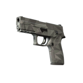 P250 | Facets (Factory New)