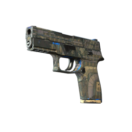 P250 | Exchanger (Field-Tested)