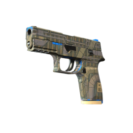 P250 | Exchanger (Minimal Wear)
