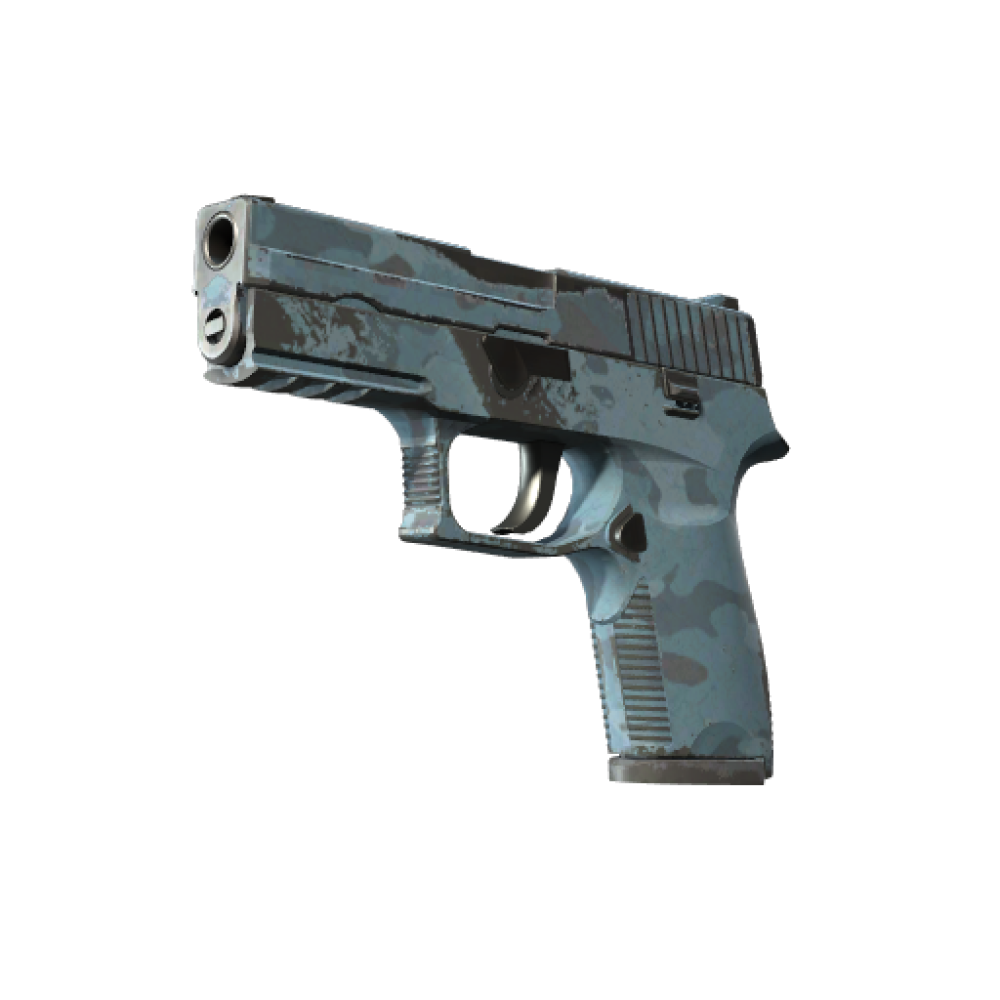 P250 | Forest Night (Field-Tested)