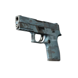 P250 | Forest Night (Field-Tested)