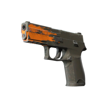 P250 | Splash (Field-Tested)