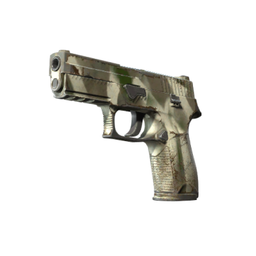P250 | Bone Mask (Well-Worn)