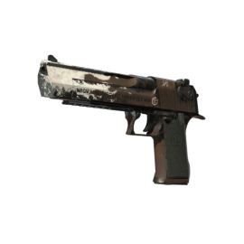 StatTrak™ Desert Eagle | Oxide Blaze (Field-Tested)