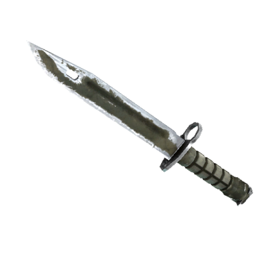 ★ Bayonet | Safari Mesh (Battle-Scarred)