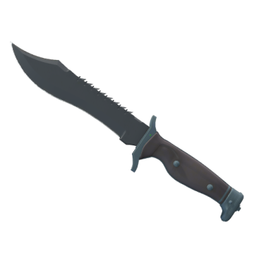 ★ Bowie Knife | Night (Minimal Wear)