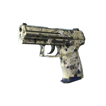 P2000 | Granite Marbleized (Well-Worn)