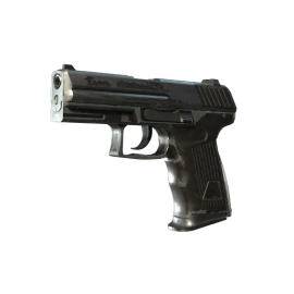 P2000 | Panther Camo (Battle-Scarred)