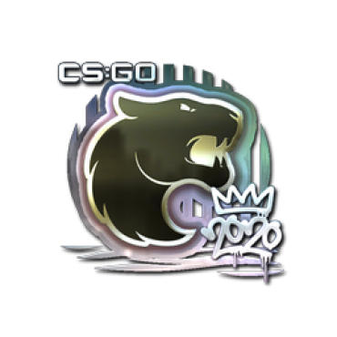 Sticker | FURIA (Foil) | 2020 RMR