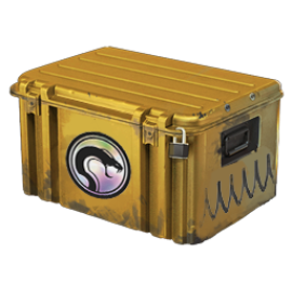 Recoil Case