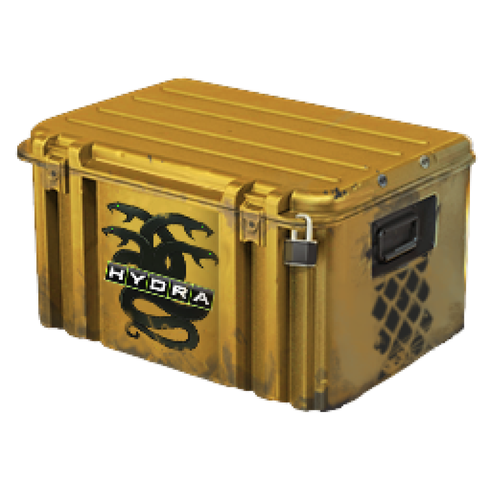 Operation Hydra Case