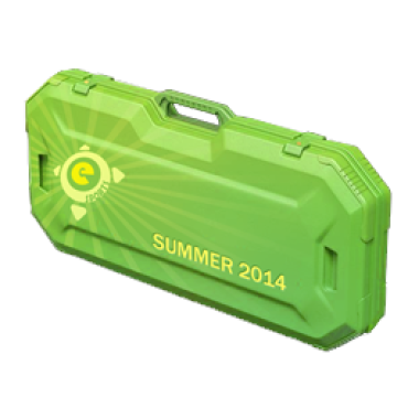 eSports 2014 Summer Case