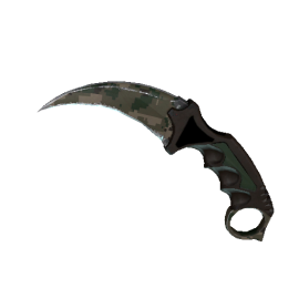 StatTrak™ Karambit | Forest DDPAT (Field-Tested)