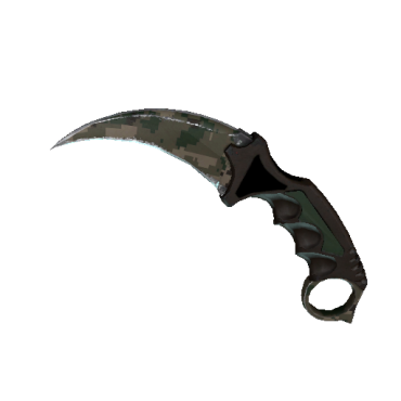 StatTrak™ Karambit | Forest DDPAT (Field-Tested)