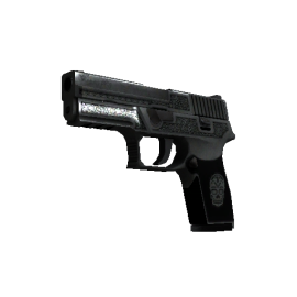 P250 | Cartel (Battle-Scarred)