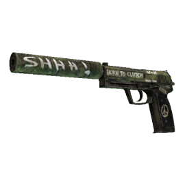 USP-S | Flashback (Factory New)