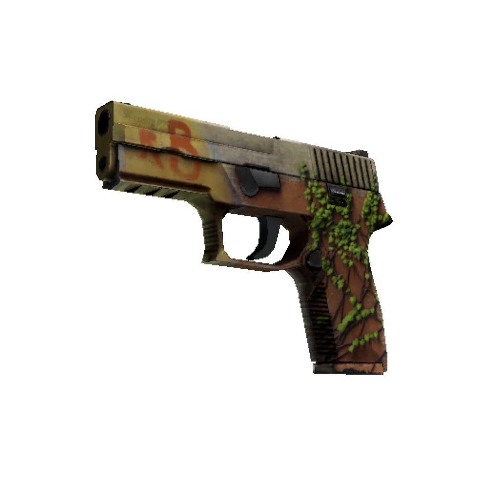 P250 | Inferno (Field-Tested)