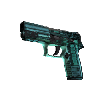 P250 | X Ray (Field Tested)