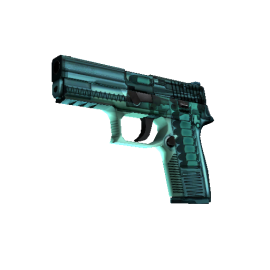 StatTrak™ P250 | X Ray (Factory New)