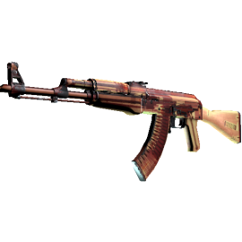 AK-47 | X Ray (Well Worn)