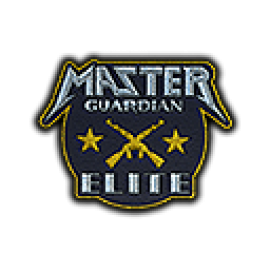 Patch | Metal Master Guardian Elite