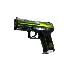 StatTrak™ P2000 | Turf (Well Worn)