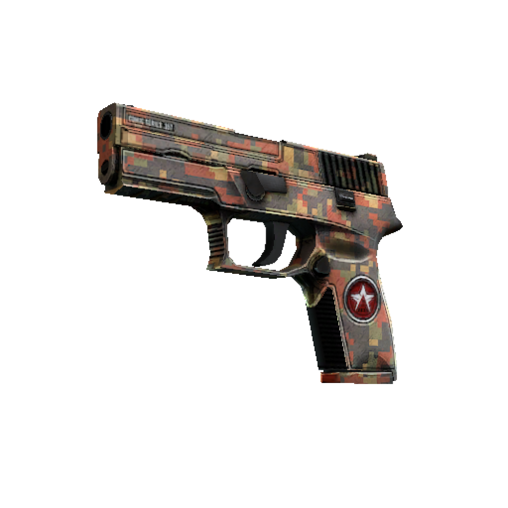 P250 | Red Rock (Minimal Wear)