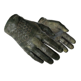 Driver Gloves | Racing Green (Battle-Scarred)