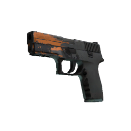 StatTrak™ P250 | Splash (Field-Tested)